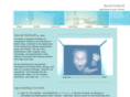 davidbithell.com