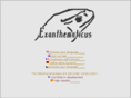 exanthematicus.com