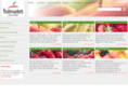 fruitmastersholland.nl