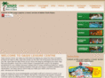 backyardkidzone.com