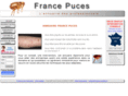 france-puces.com