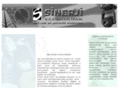 sinerjiltd.com