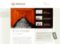 telocitygroup.com