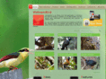 vietnambird.com