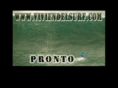 viviendoelsurf.com