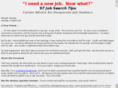 97-job-search-tips.com