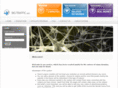 bigtraffic.net