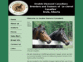 canadianhorse.info
