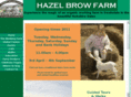 hazelbrow.co.uk