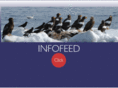 infofeed.co.uk