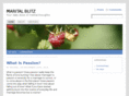 maritalblitz.com