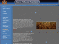 newalbanyauction.com