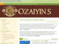 ozaiyins.com
