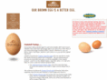 ritewood.com