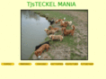 tjdoxies.com