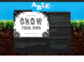 able-projects.com