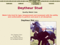 deytheurcobs.com