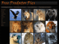 free-predator-pics.com