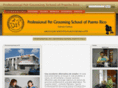 petgroomingschoolpr.com
