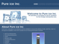 pureiceinc.com