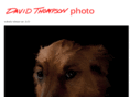 davidthompsonphoto.com
