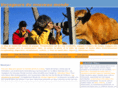 voyageursdunouveaumonde.com