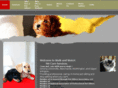 walkandwatch.com