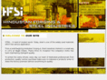 hfsi-india.com