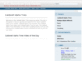 kcrtires.com