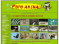 fotoanimal.com.ar