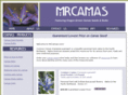 mrcamas.com