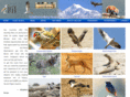 ourindiantours.com