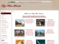 topfloorprints.com