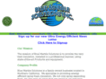 bluemarblesolutions.com