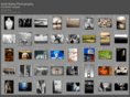 silverdoggallery.com