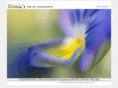 sunflowersummer.com