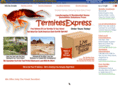 termiteexpress.com