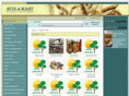 attismart.com