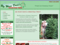 bigwavedavechristmastrees.com
