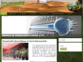 brumicold.com