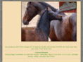 holdyourhorsesllc.net