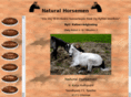 naturalhorsemen.dk