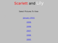 scarlettandlily.com