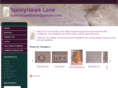 sunnyhawklane.com