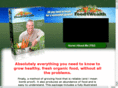 food4wealthbonus.com