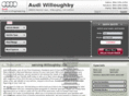 mentoraudi.com