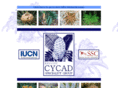 cycadsg.org