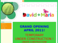 davidplusmaria.com