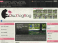 discdogblog.com