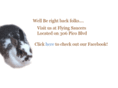 flyingsaucersla.com